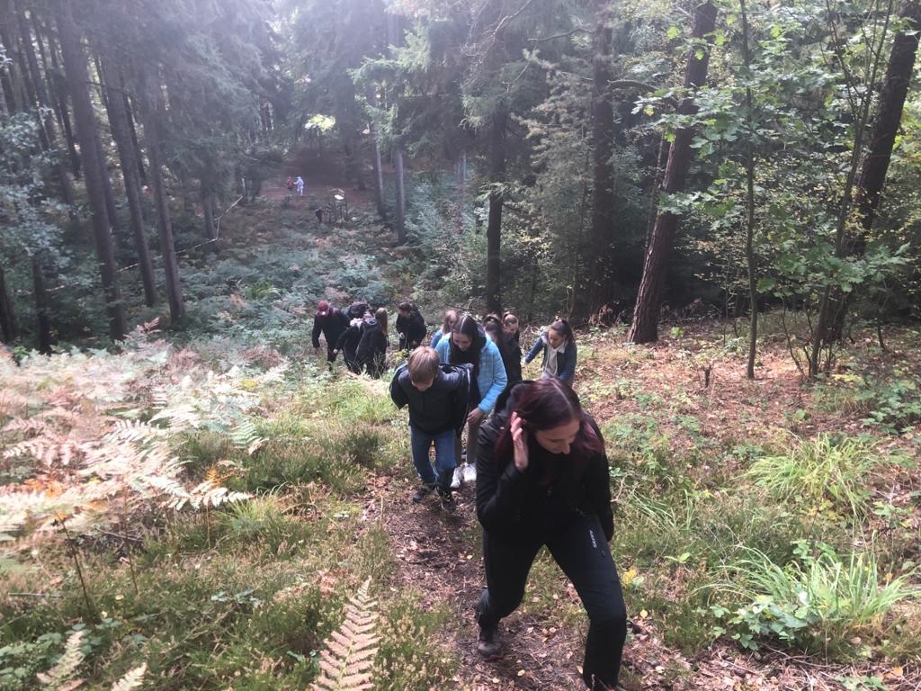 Jugendliche laufen im Wald einen Berg hoch